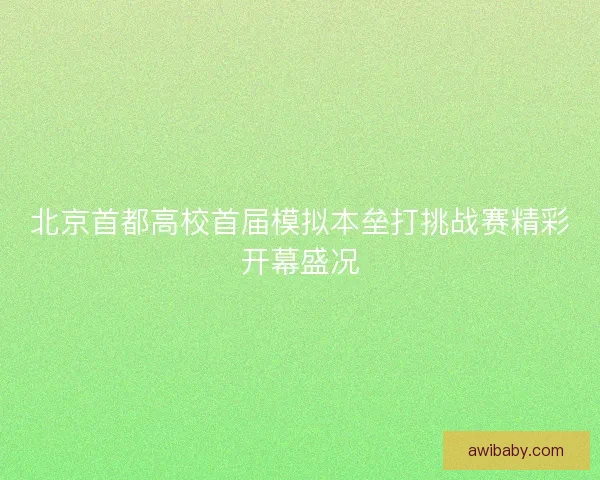 北京首都高校首届模拟本垒打挑战赛精彩开幕盛况